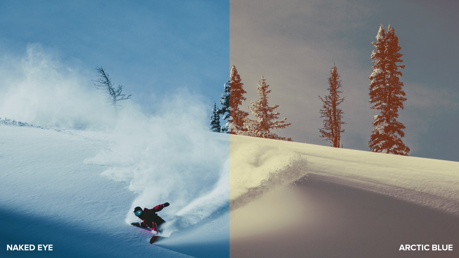 ARCTIC BLUE | FRAMELESS LENS