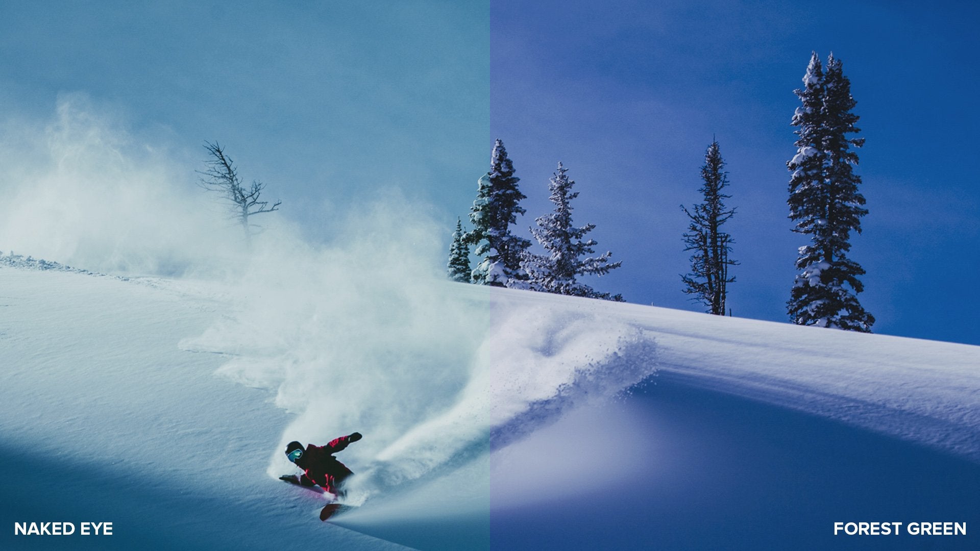 FOREST GREEN | FRAMELESS LENS