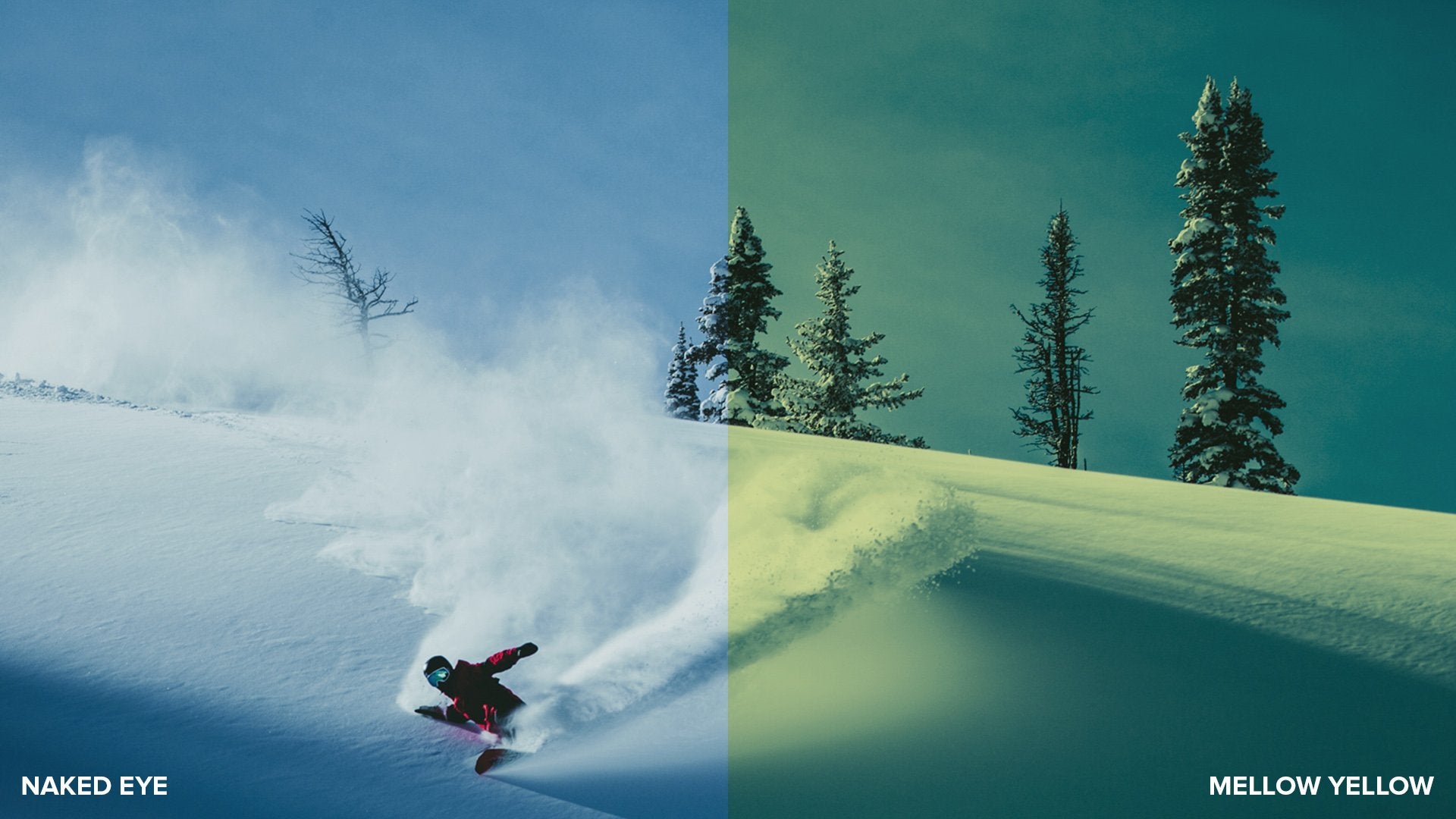 MELLOW YELLOW | FRAMELESS LENS