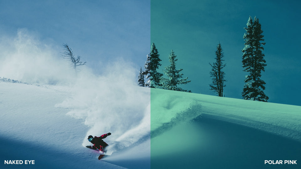 POLAR PINK | FRAMELESS LENS