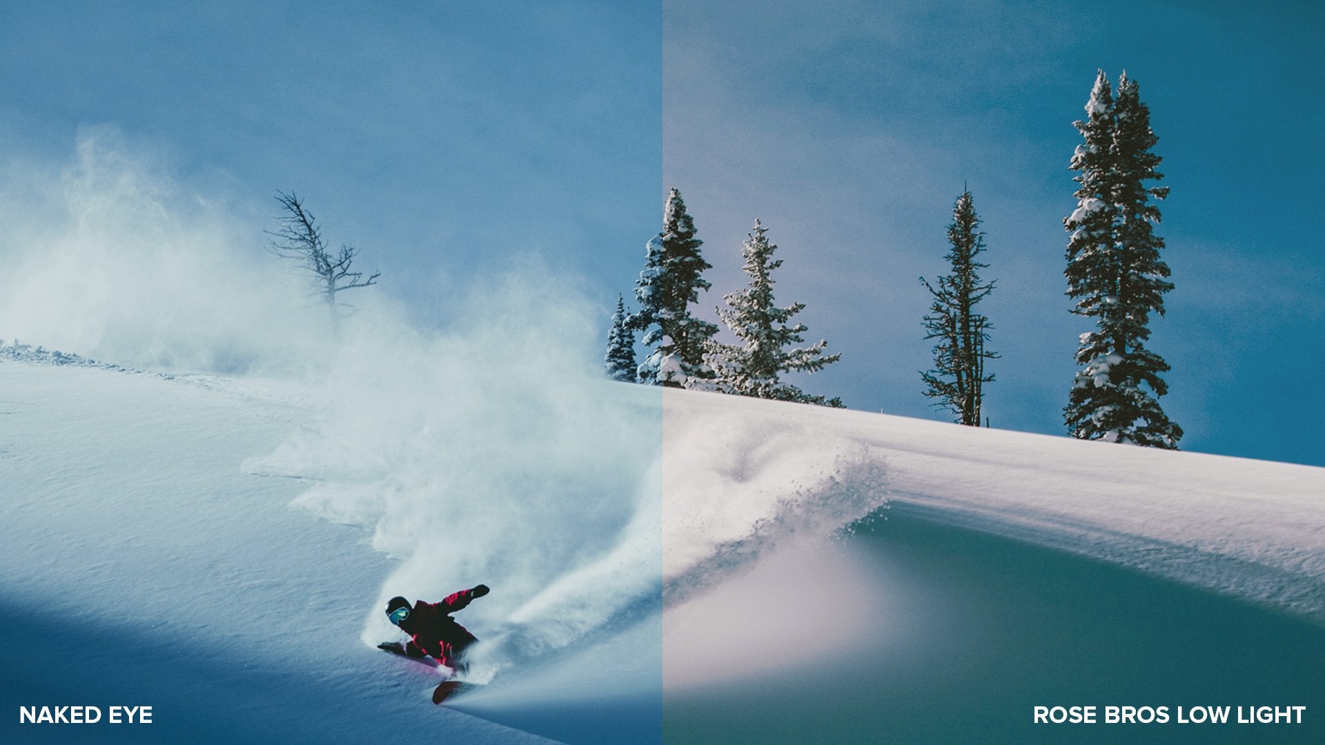 ROSE BROS LOW LIGHT| FRAMELESS LENS