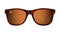 Sunglasses - BEACHCAT